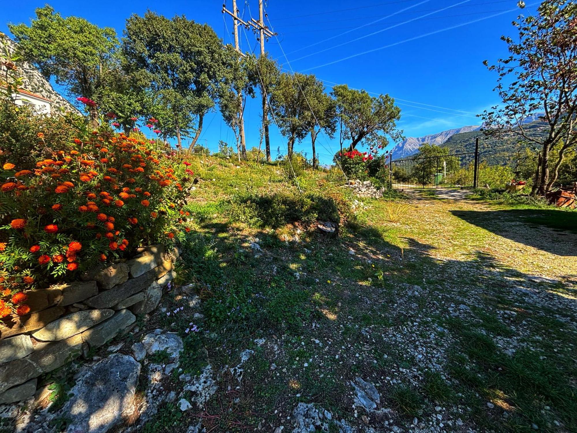 Georgaras Accommodation Platanoussa 外观 照片