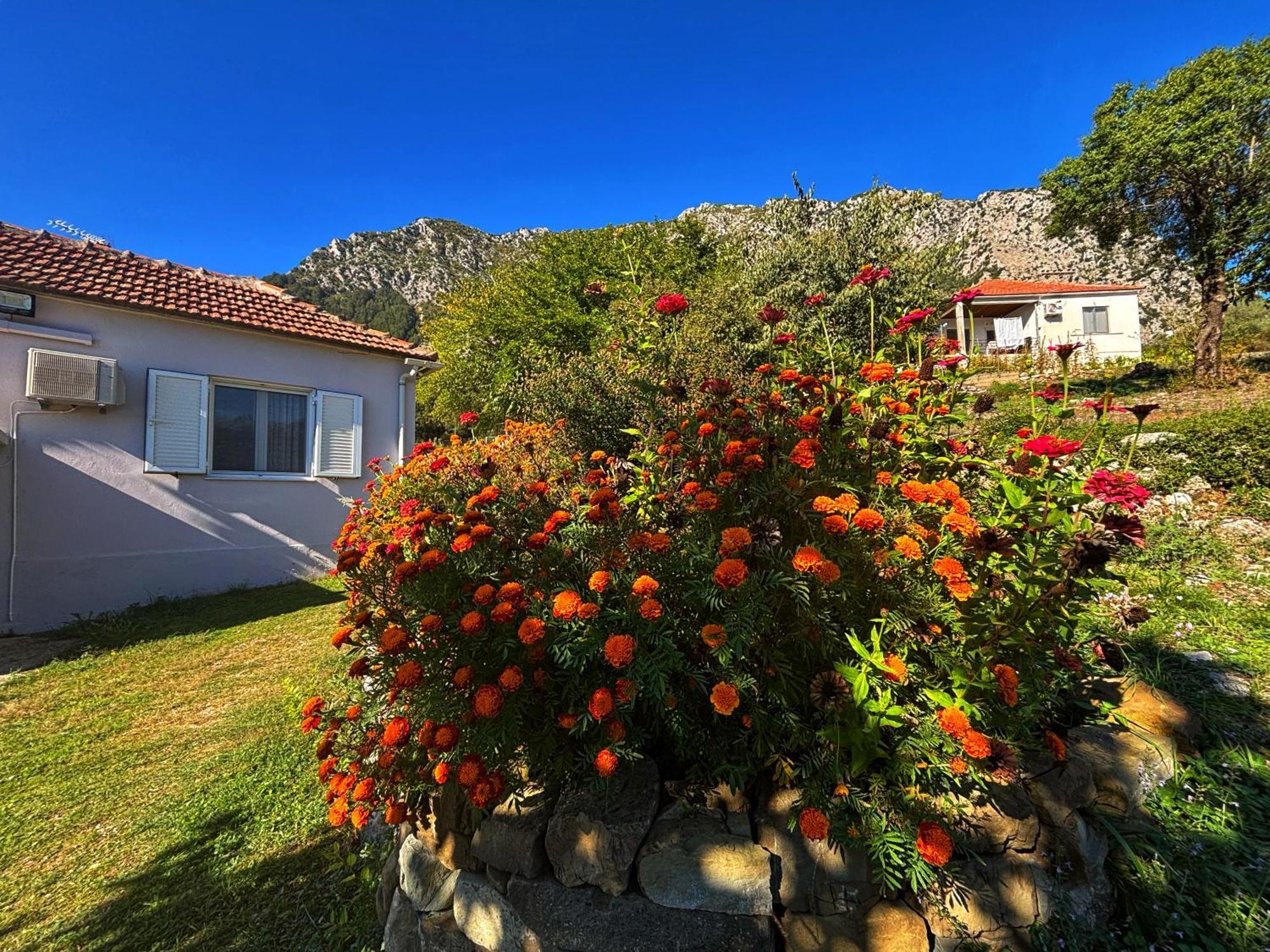 Georgaras Accommodation Platanoussa 外观 照片